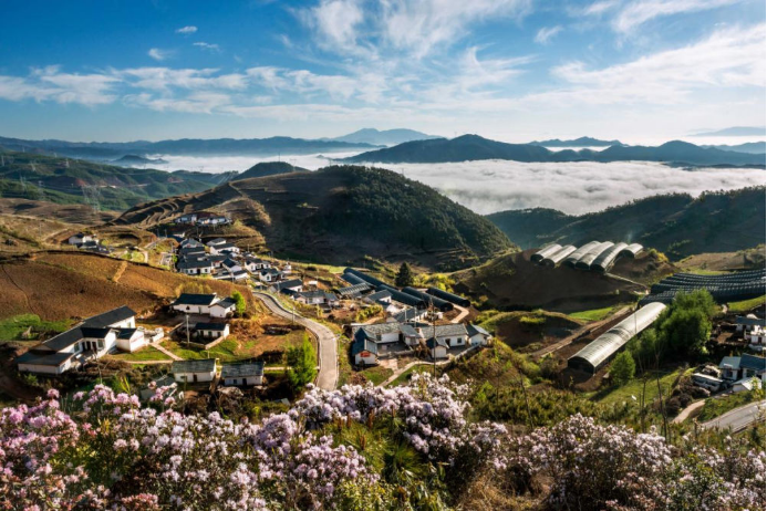 10 AG旗舰厅电气集团科技兴农 助力凉山火普村打造数字乡村804.png